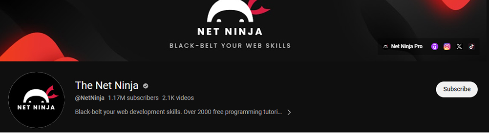 1. The Net Ninja