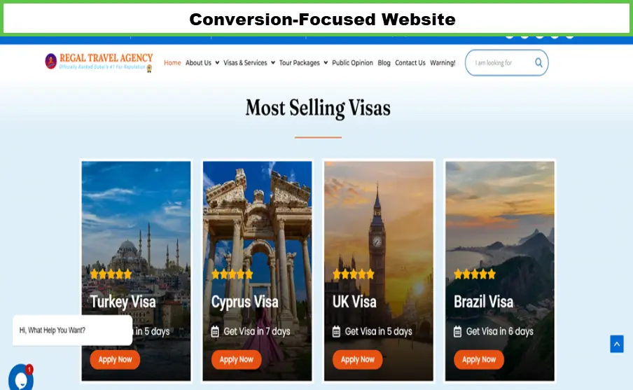 An example of a Conversion-Focused Website- cost to design a website