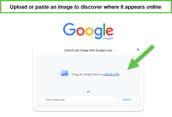 Interface of Google reverse image search